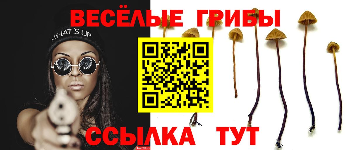 Зима  Псилоцибиновые грибы ЛСД  где найти   Галлюциногенные грибы Magic Shrooms  Вход с VPN 