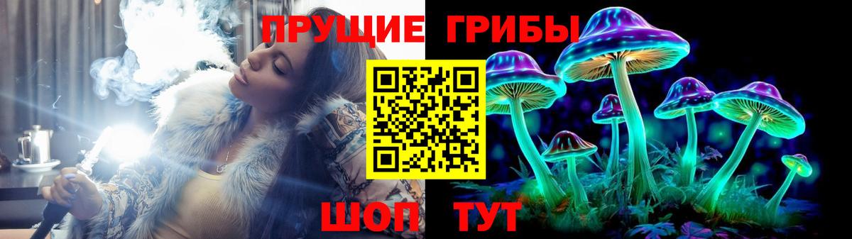 Галлюциногенные грибы мицелий Зима